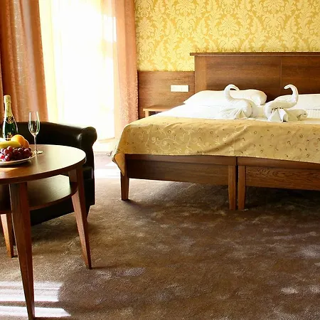Gasthuis Baltaci Stary Zamek 3*